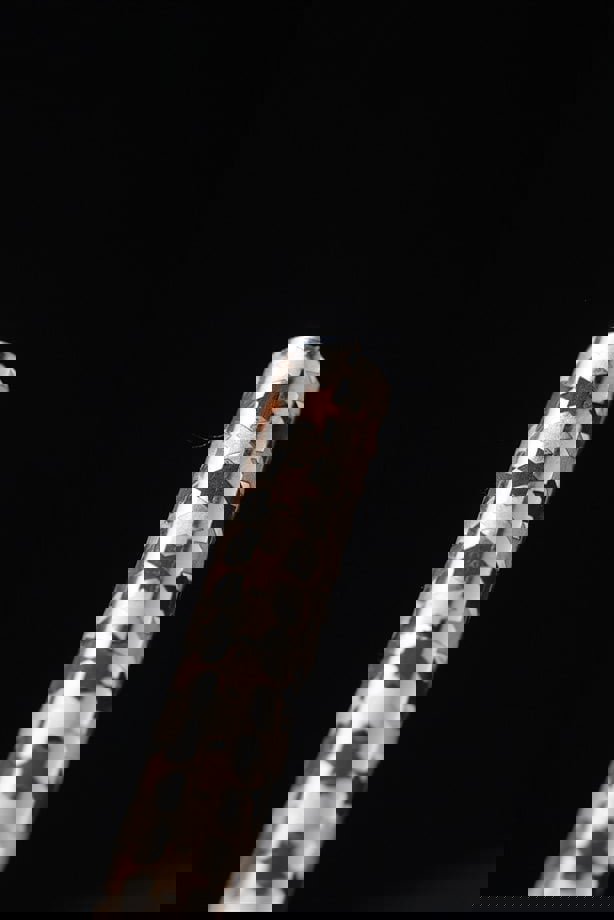 Yıldız Silver resmi