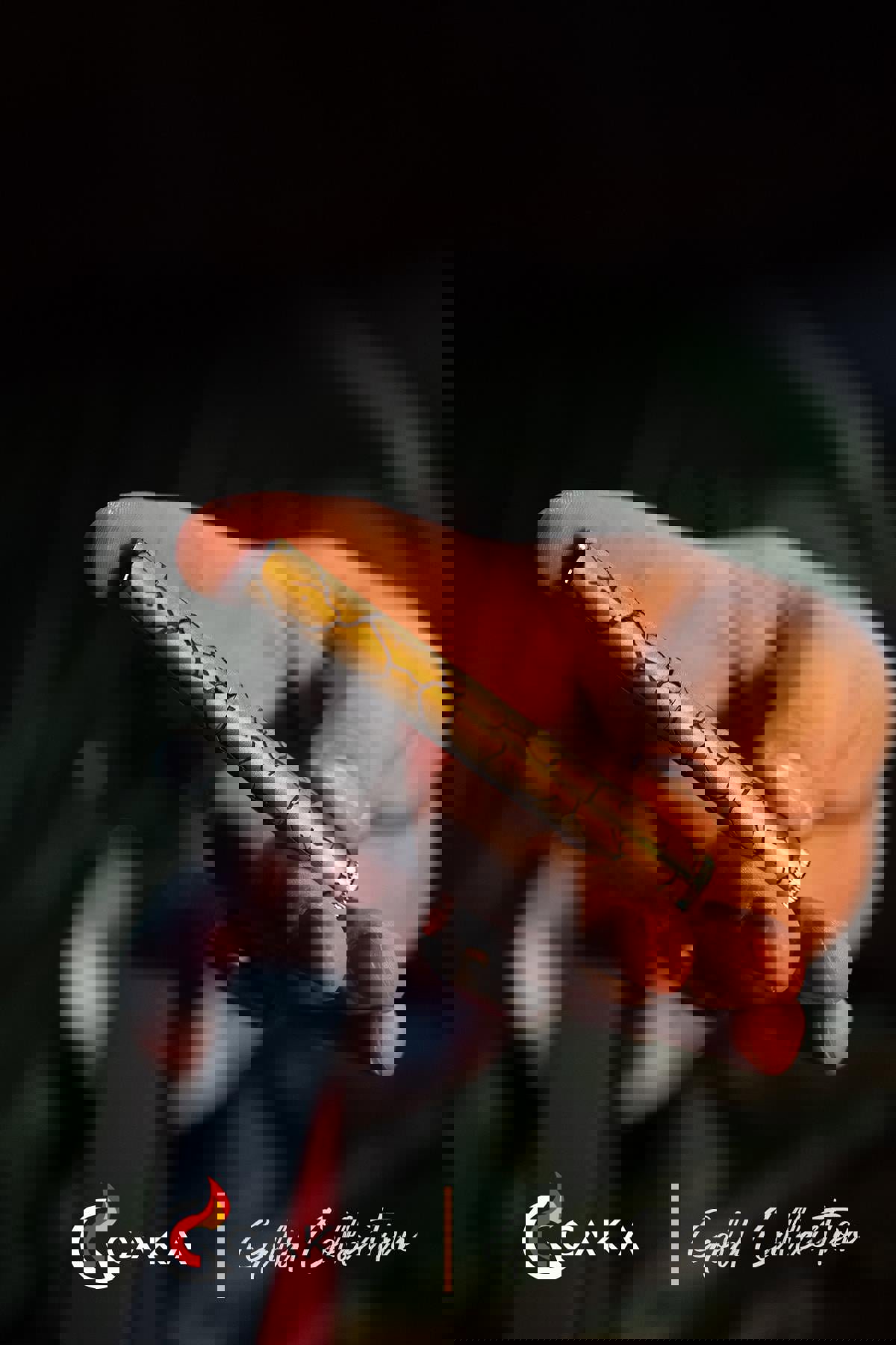 Koleksiyon Slim Gold resmi